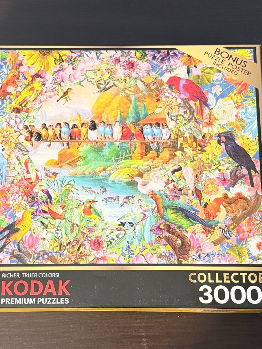 Kodak Premium Puzzles - Birdsong- 3000 Piece Jigsaw Puzzle